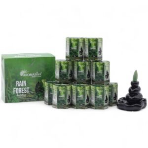 Masala Backflow Incense pack of 10 - Rain Forest
